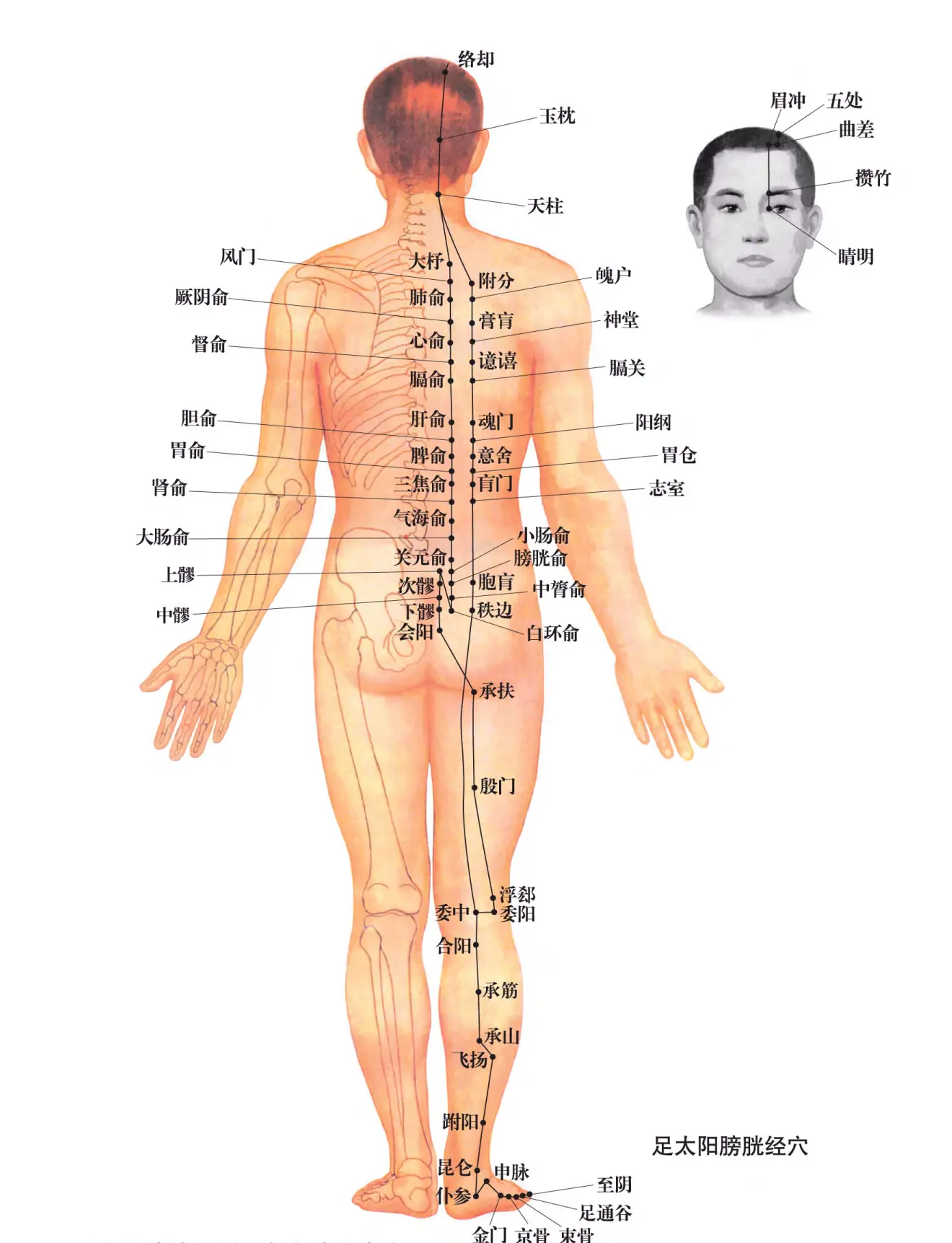 百穴热炙养生床垫产品图